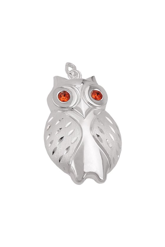 PENDANT OWL MATT-POLISHED SILVER 925