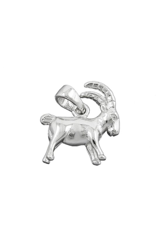 PENDANT ZODIAC SIGN CAPRICORN SILVER 925