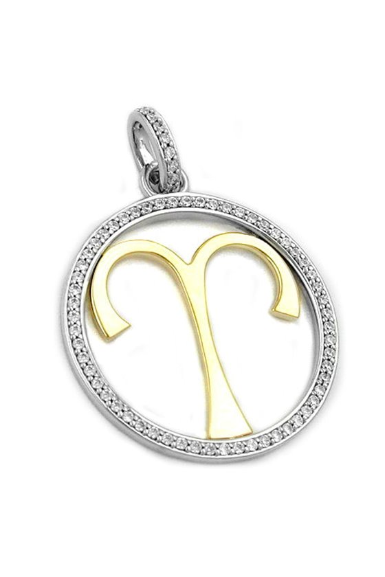 PENDANT BICOLOUR SILVER 925