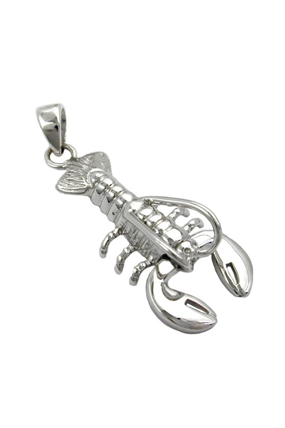 PENDANT CANCER SILVER 925