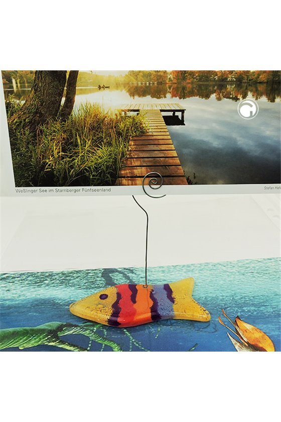 MEMO HOLDER FISH MULTI-COLOURED