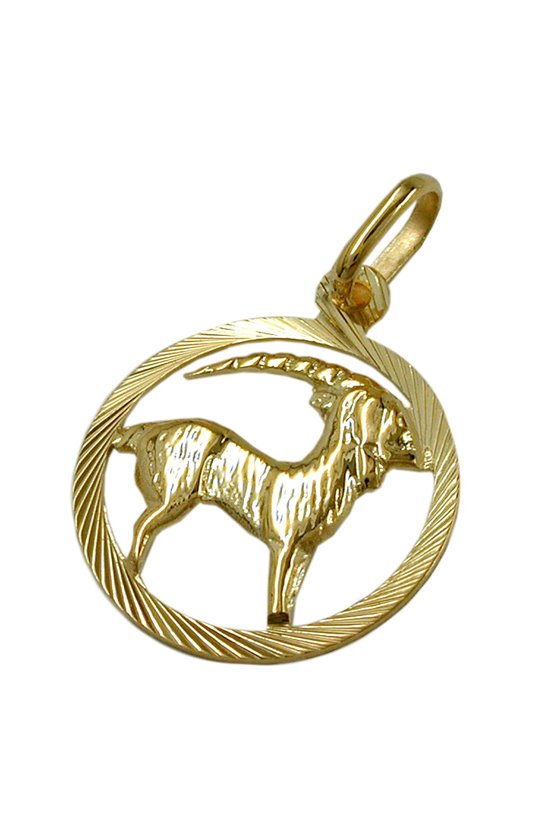 PENDANT ZODIAC SIGN CAPRICORN 9KT GOLD