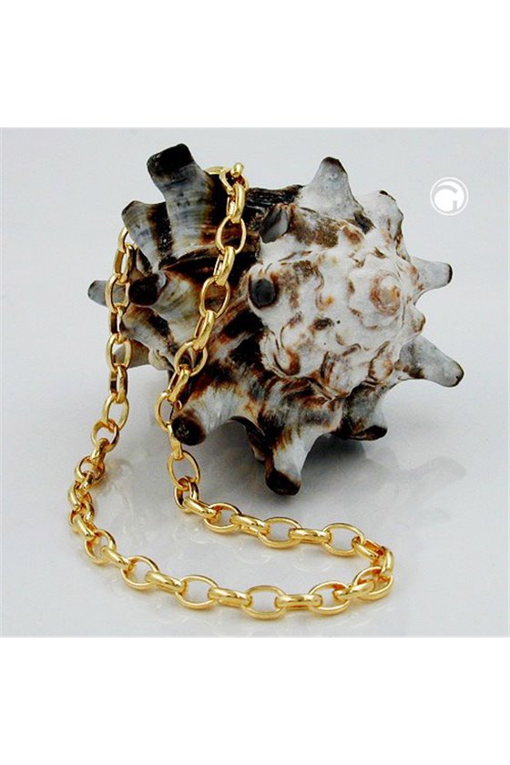 BRACELET ANCHOR CHAIN OVAL GOLD-PLATED 19CM
