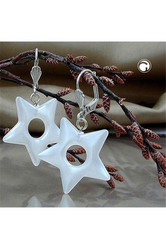 LEVERBACK EARRINGS STAR SILVER 925