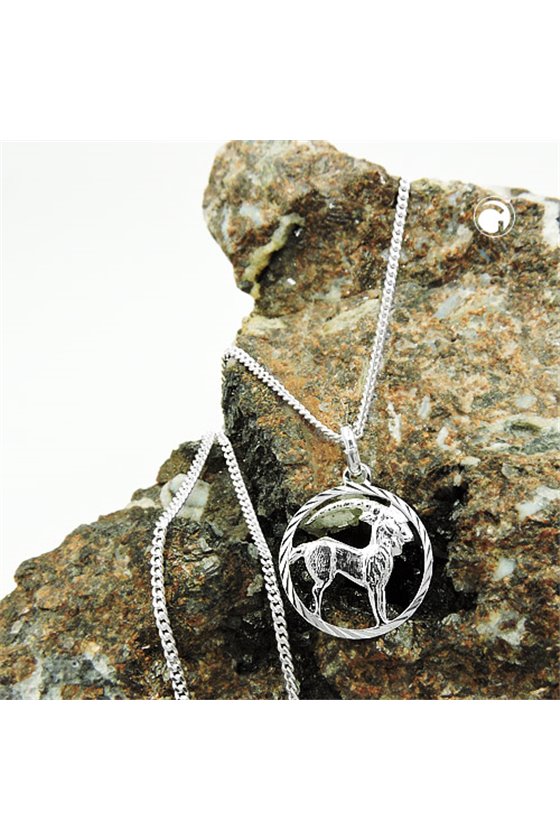 SET ZODIAC CAPRICORN + CHAIN SILVER 925