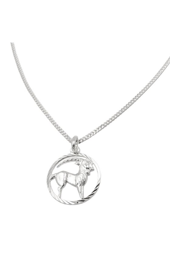 SET ZODIAC CAPRICORN + CHAIN SILVER 925
