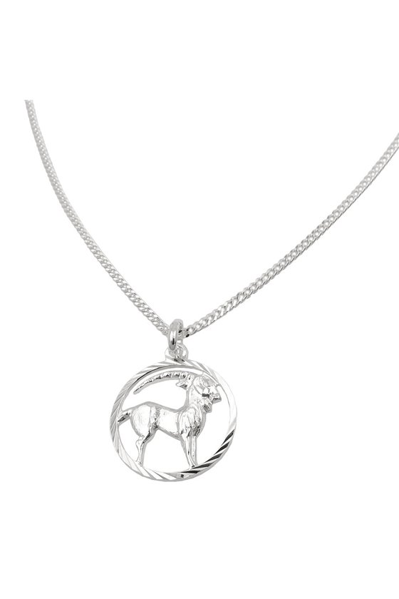 SET ZODIAC CAPRICORN + CHAIN SILVER 925