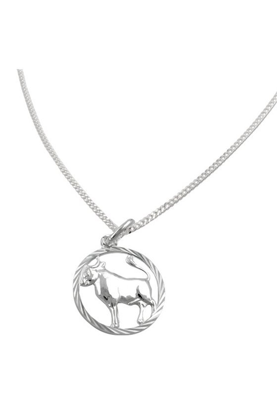 SET ZODIAC TAURUS + CHAIN SILVER 925