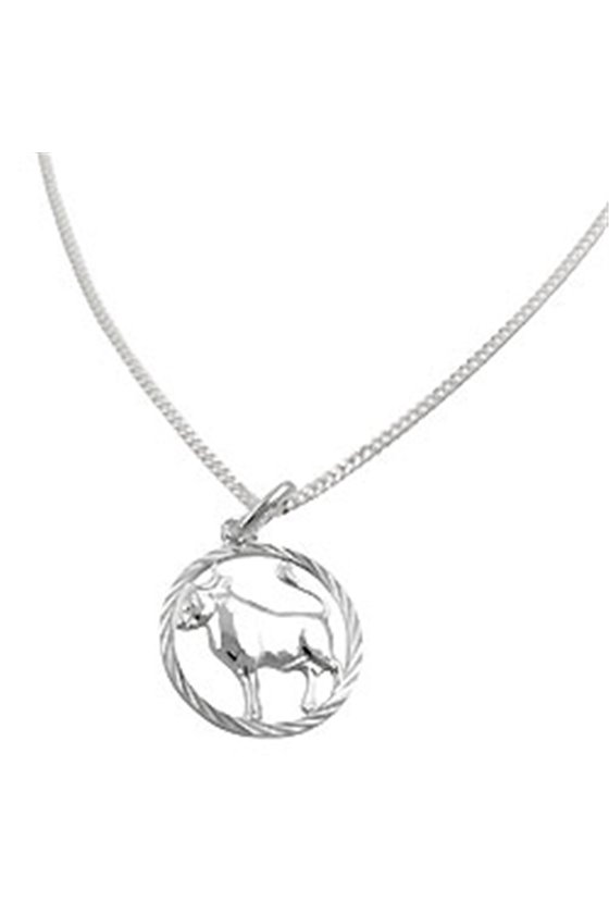 SET ZODIAC TAURUS + CHAIN SILVER 925